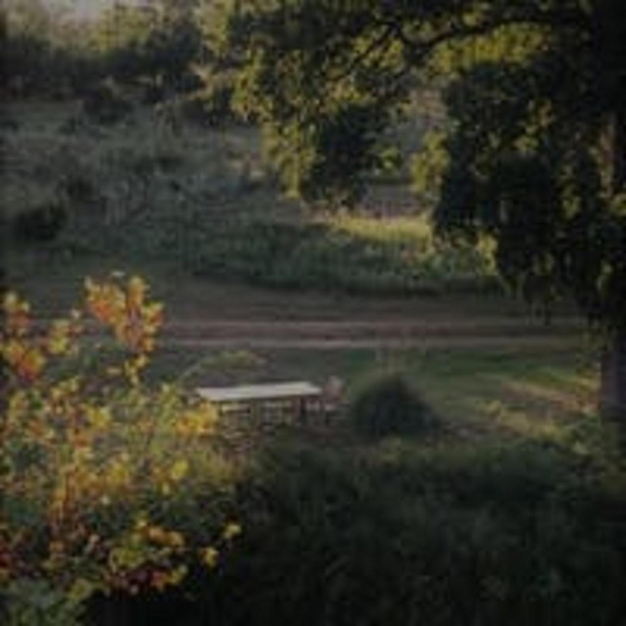 City On A Hill At Spring Creek Fredericksburg Exteriör bild